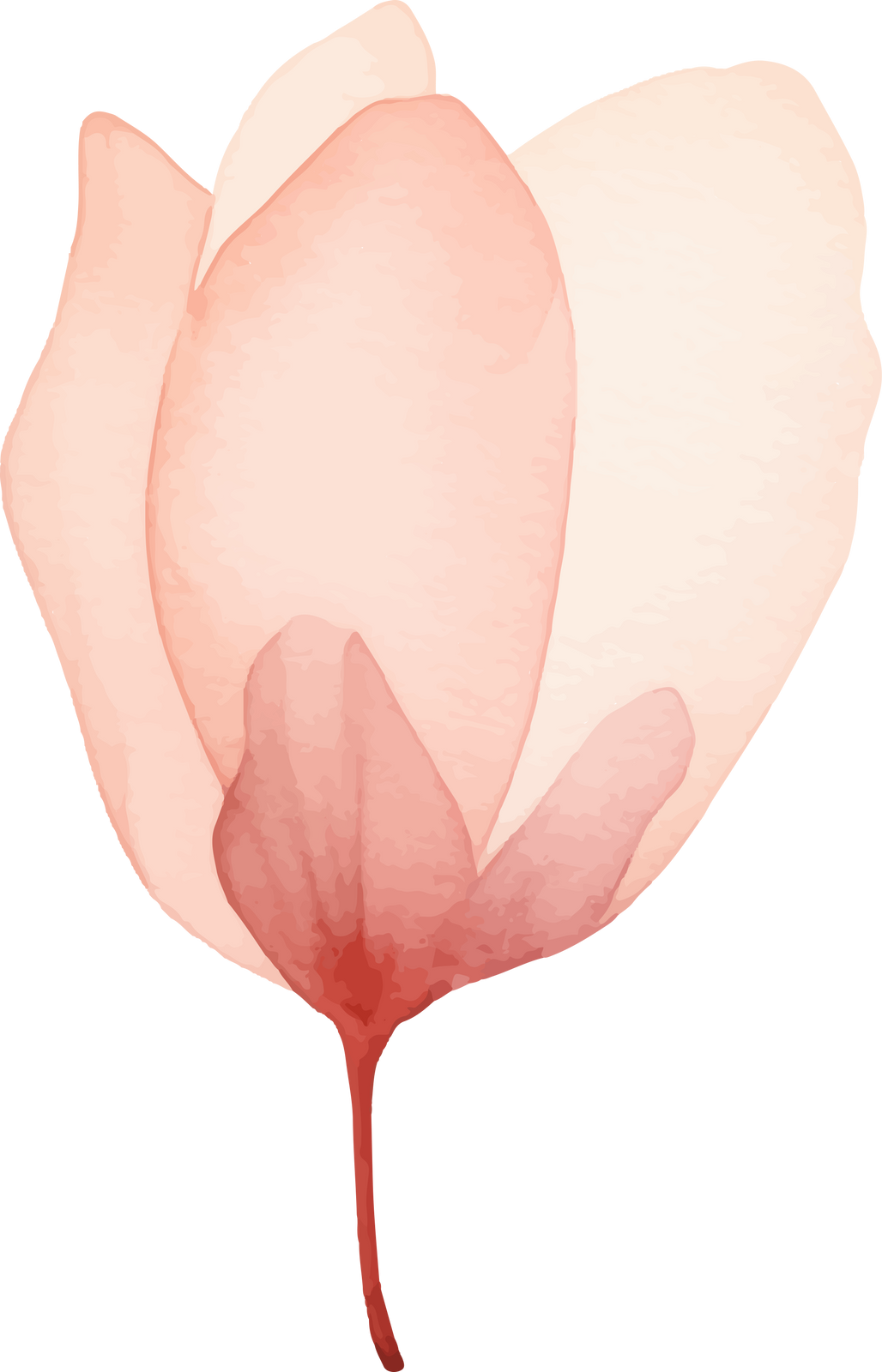 Icono MU-SEN